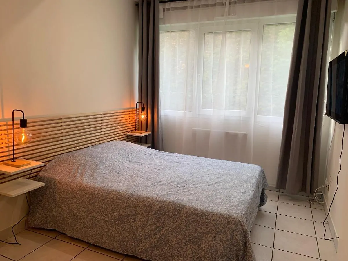 Appartement Apt Lyon Flachet Villeurbanne France