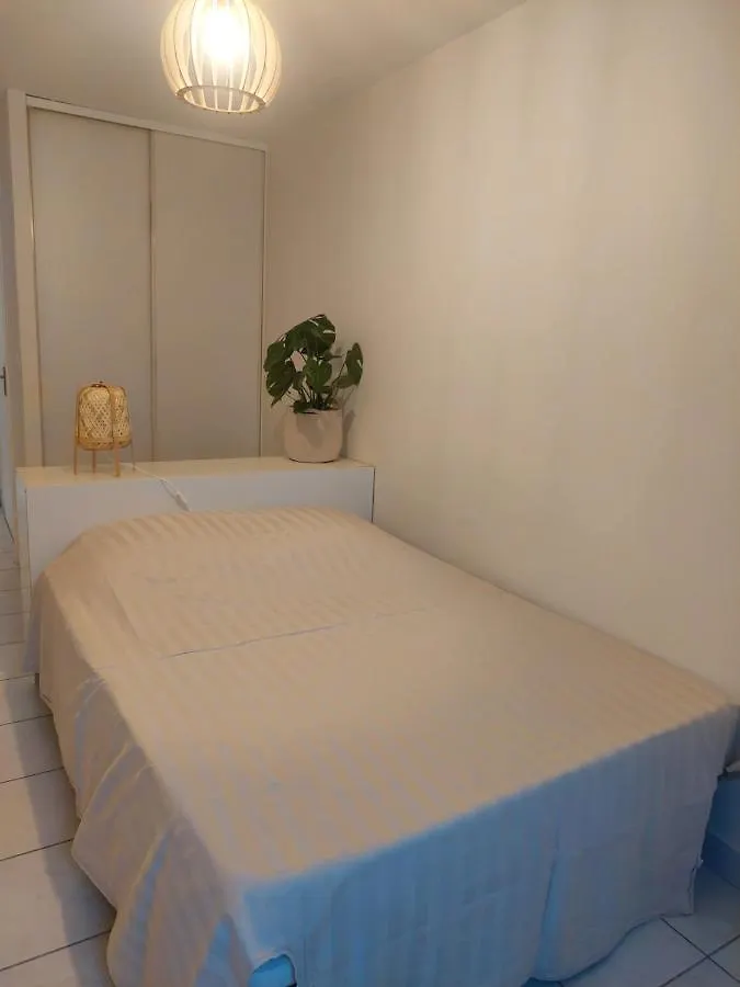 Apt Lyon Flachet Villeurbanne Appartement